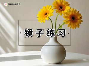 镜子练习